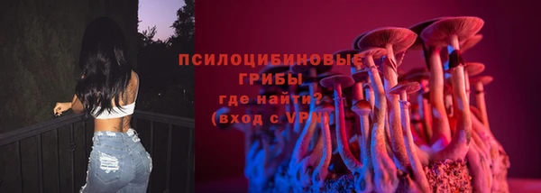 мдпв Елабуга