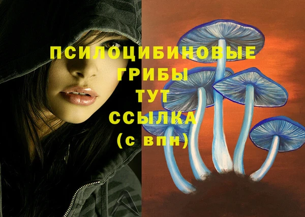 каннабис Заводоуковск